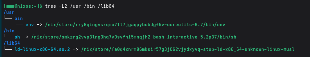 NixOS File Hierarchy Structure